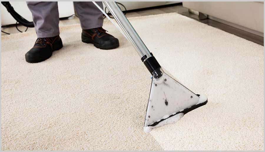 carpet cleaning services